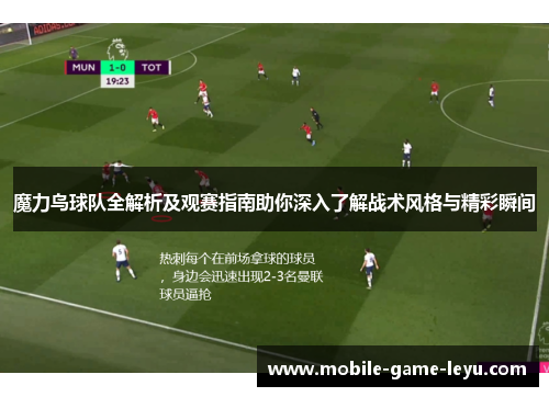 魔力鸟球队全解析及观赛指南助你深入了解战术风格与精彩瞬间