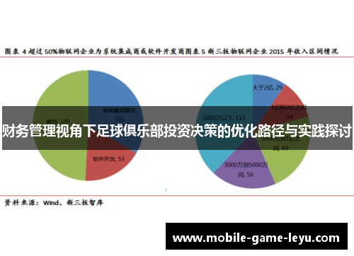 财务管理视角下足球俱乐部投资决策的优化路径与实践探讨 财务管理视角下足球俱乐部投资决策的优化路径与实践探讨