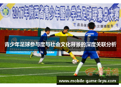 青少年足球参与度与社会文化背景的深度关联分析