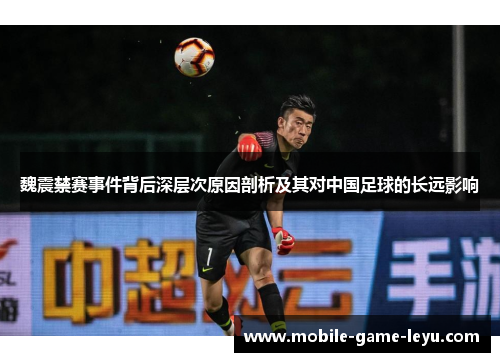 魏震禁赛事件背后深层次原因剖析及其对中国足球的长远影响
